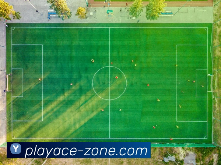 PA真人官网平台生态图