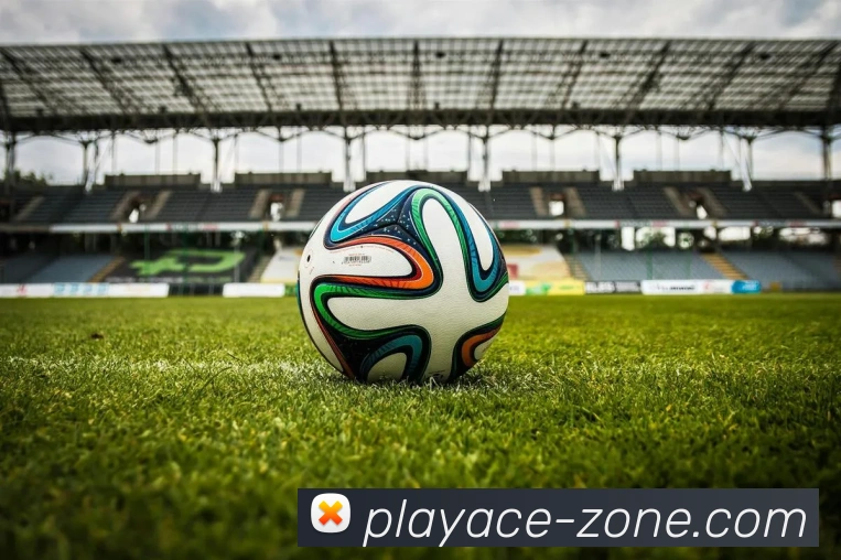 PA真人官网全站App